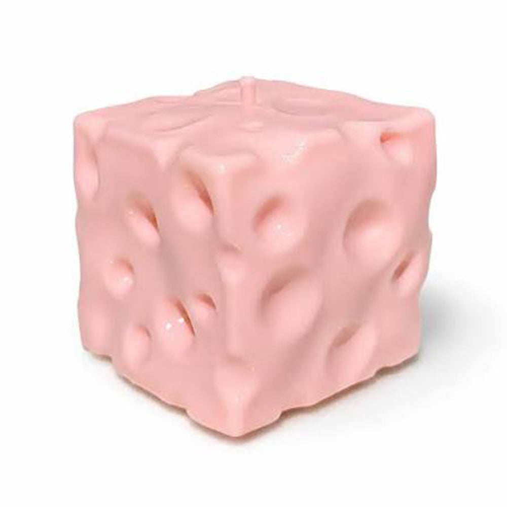 Moldable Cheese Squishy
