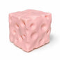 Moldable Cheese Squishy