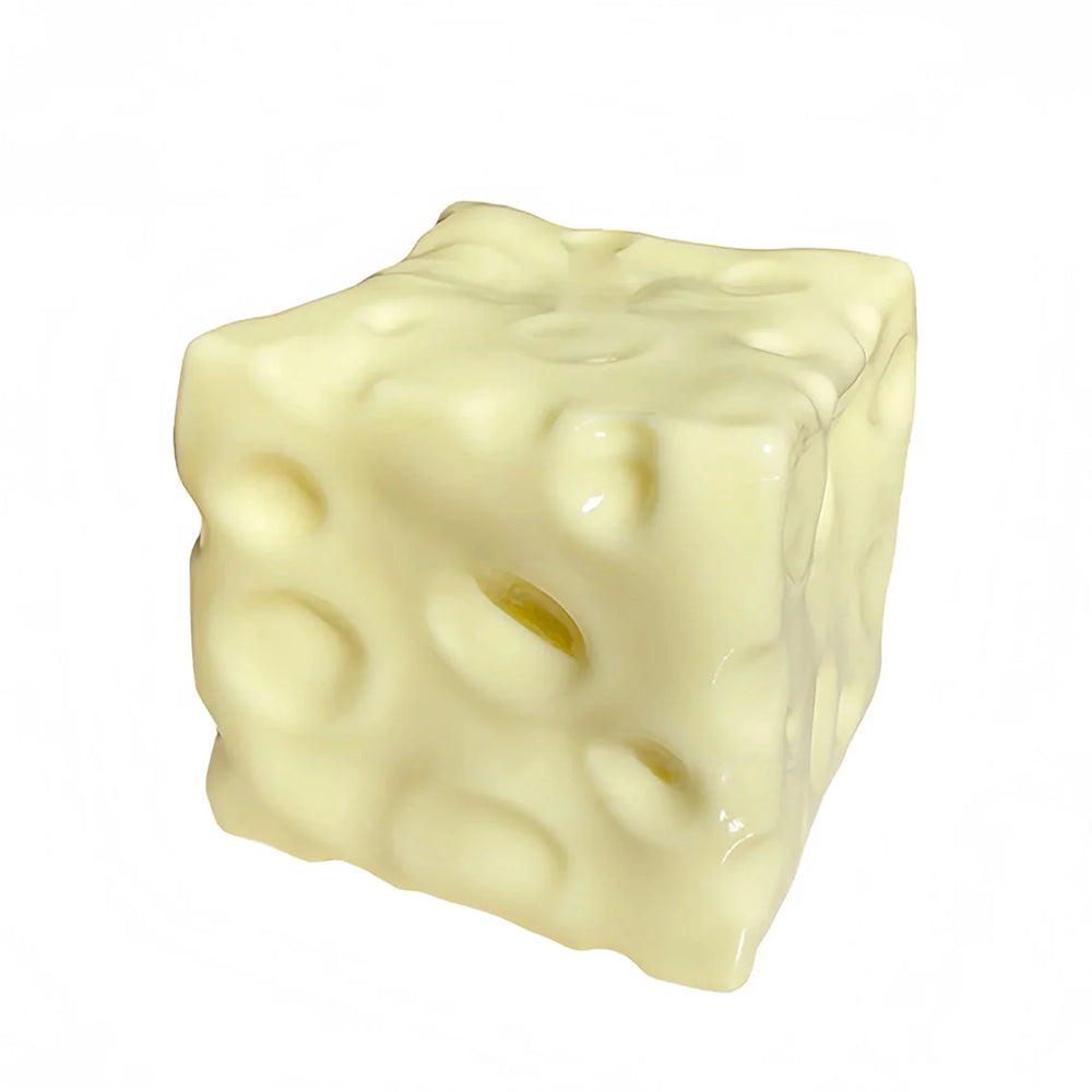Moldable Cheese Squishy